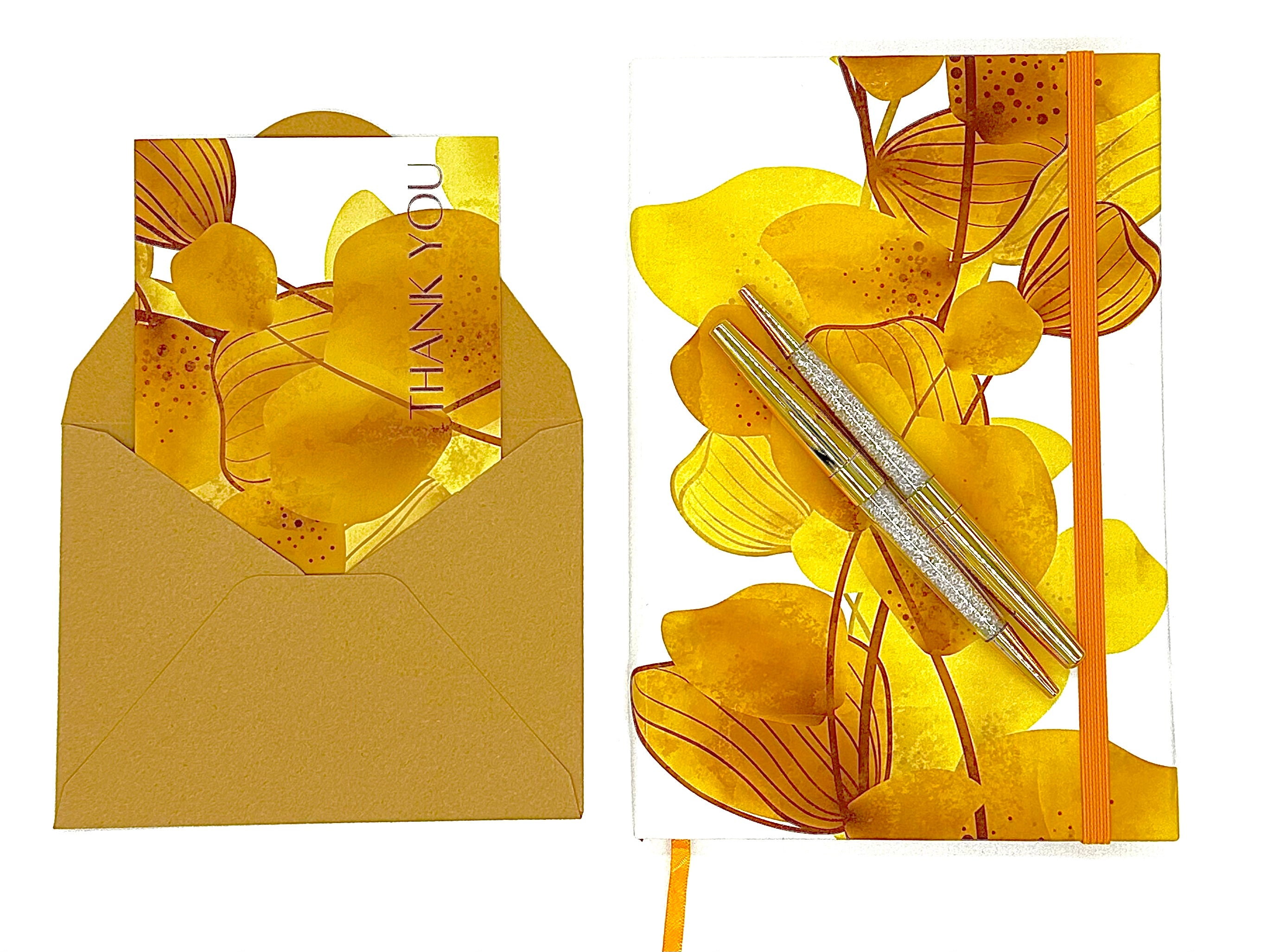 Sunlight Essentials Set