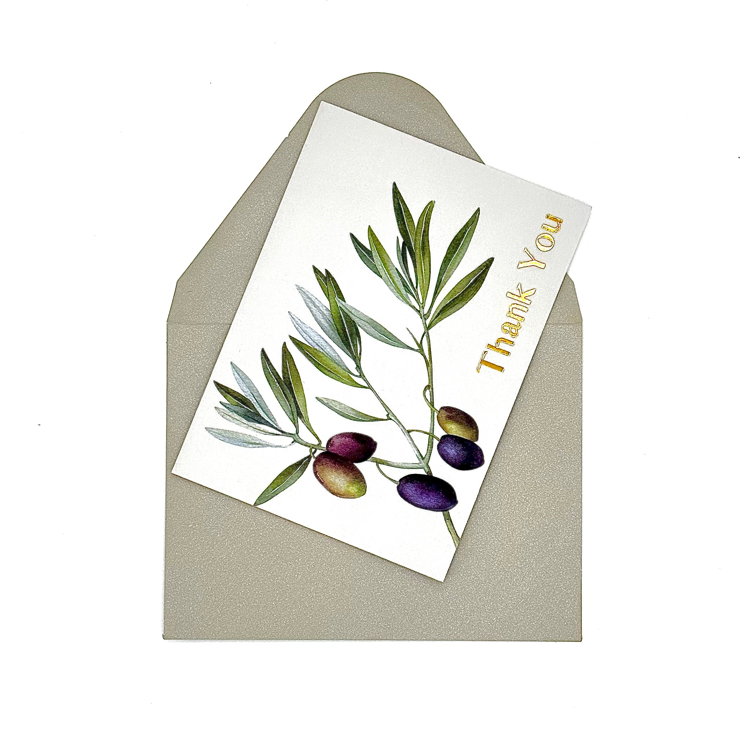 Olive Leaves Thank You Cards